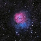 M20, the Trifid nebula